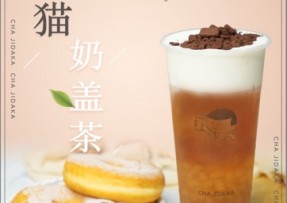 蓝鲸体育直播：熊猫奶盖茶